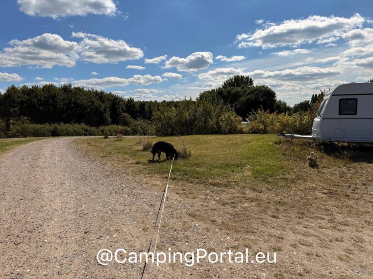 2025 08 26 14.53.59 768x576