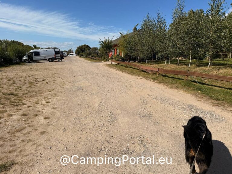 2025 08 26 14.54.05 768x576