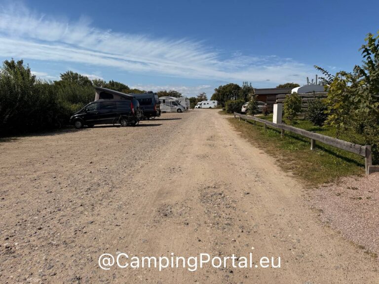 2025 08 26 14.54.10 768x576