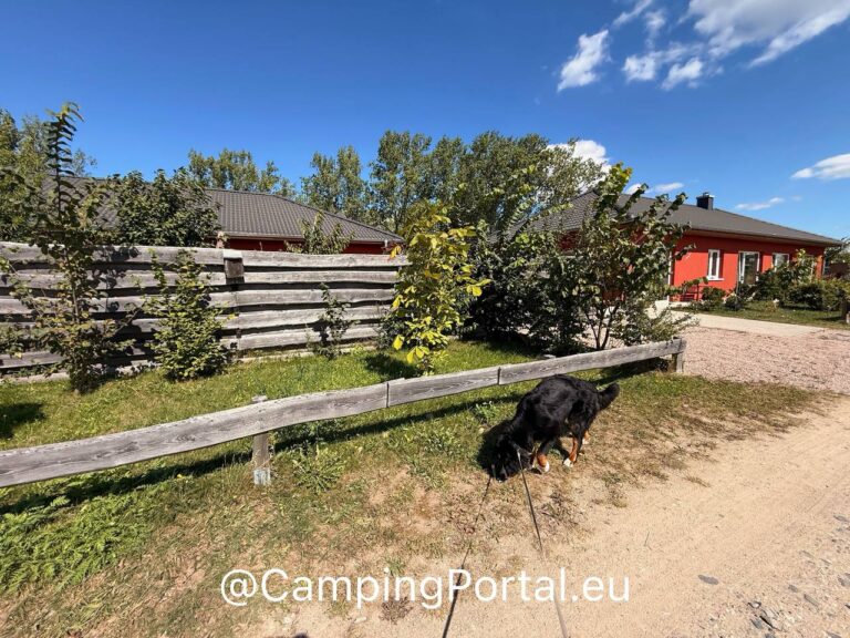 2025 08 26 14.54.17 768x576