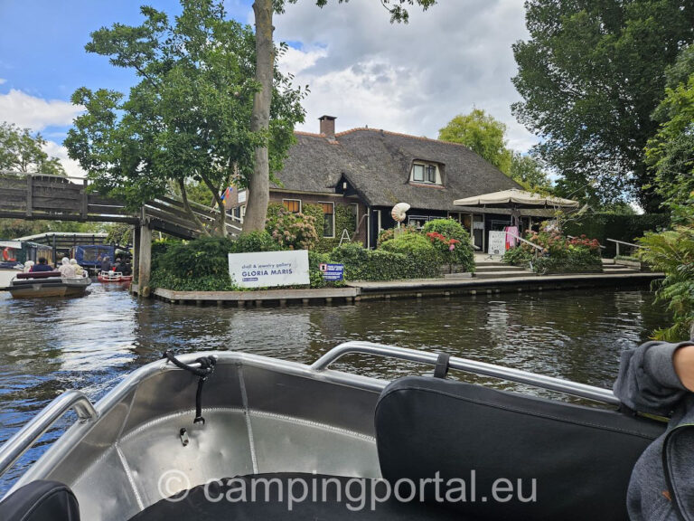 203bb1bd bf83 4012 b75a 22246ecb3a9d 1 768x576