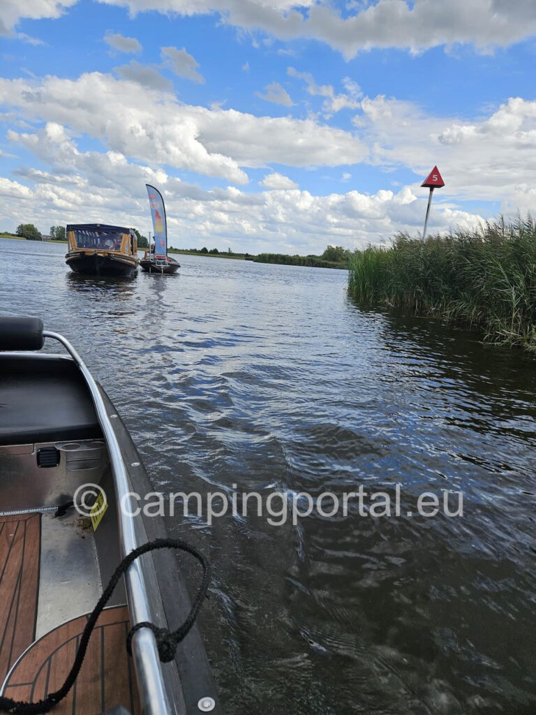 297f33ad 549b 4d91 8b8f 541e682b0e8e 1 768x1024