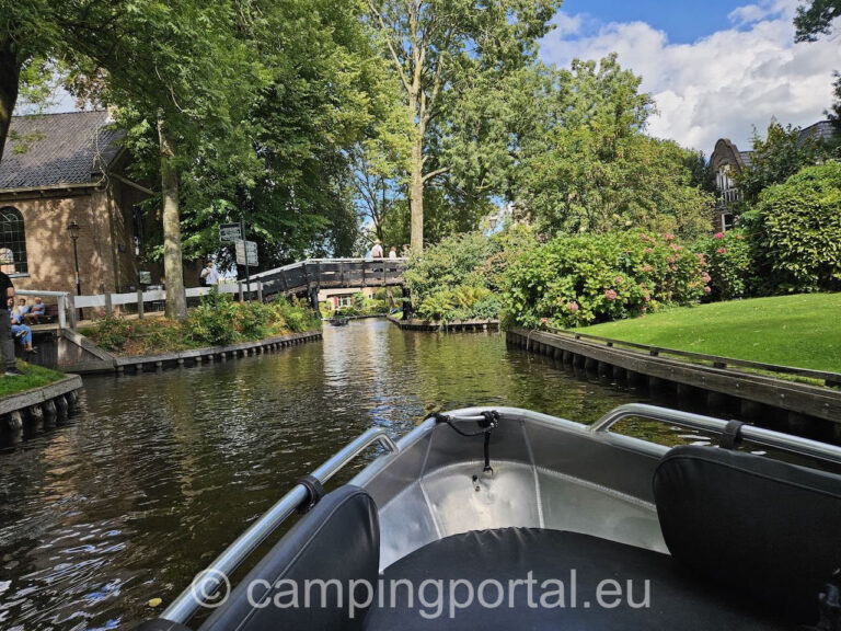 7f8d876e 50d9 46d9 88ba 03462e36ae84 1 768x576