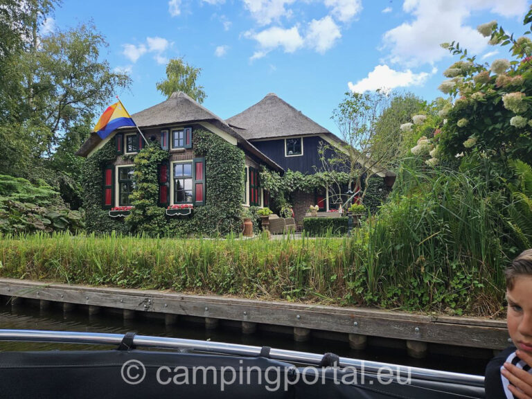 8f701566 49f3 4773 b13d c027c1e8812e 1 768x576