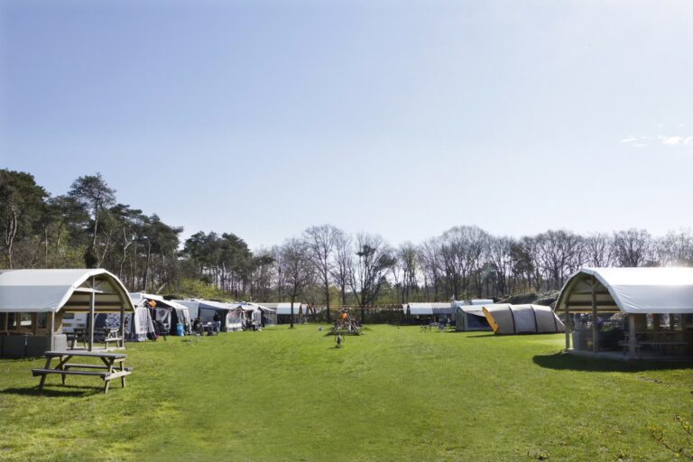 Camping De Paal Blick auf die Stellplaetze auf der Wiese b2e7ba0b 8ee8 44be 891b aca35a5b640d 768x512