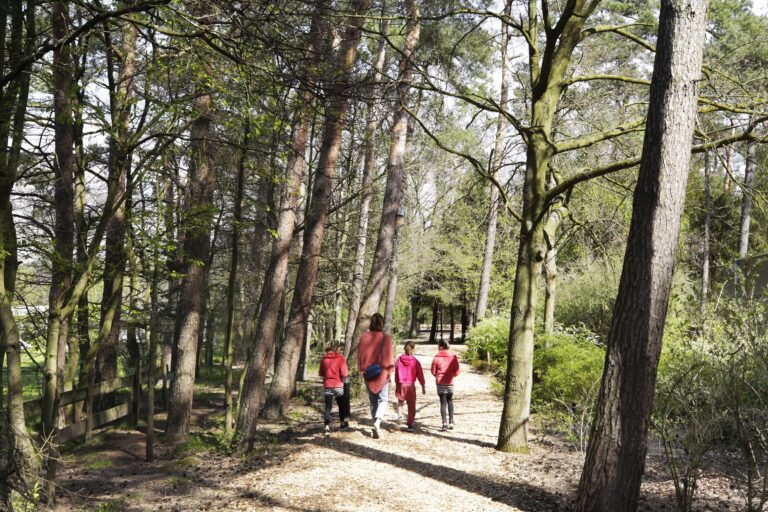 Camping De Paal Gaeste gehen im Wald spazieren 28850065 a165 4e09 be2a cd12fa107a91 768x512
