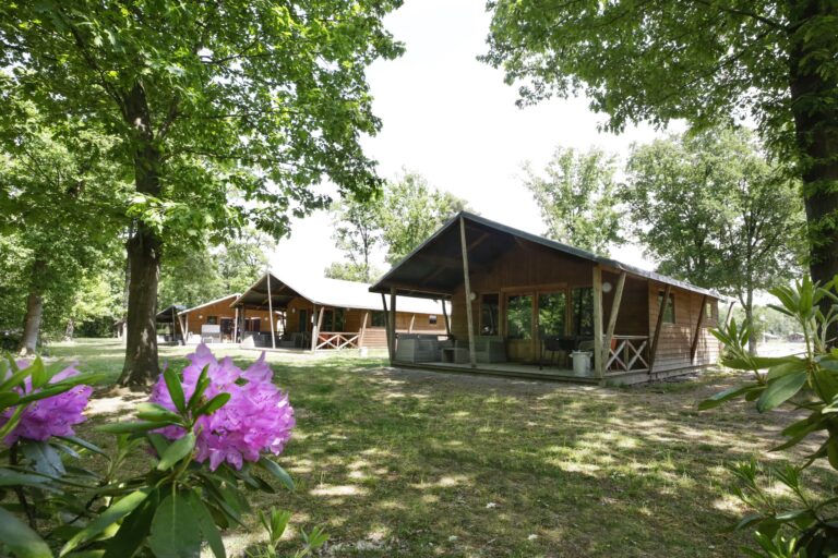 Camping De Paal Mobilheime mit Terrasse 5cd8a5e6 21a8 4cc4 a493 56f23d2ed2f7 768x512