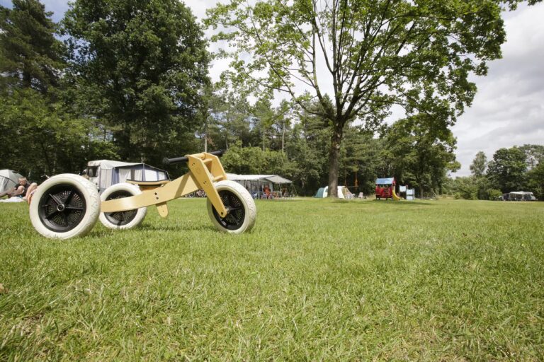 Camping De Paal Stellplatzwiese auf dem Campingplatz 65ab2f6a 391c 4a29 866a 9d67ddfd161b 768x512