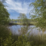 Vakantiepark De Kleine Belties Blick auf den See auf dem Campingplatz 7566a16d 914c 449b b3b7 fa42f2759b9f 150x150