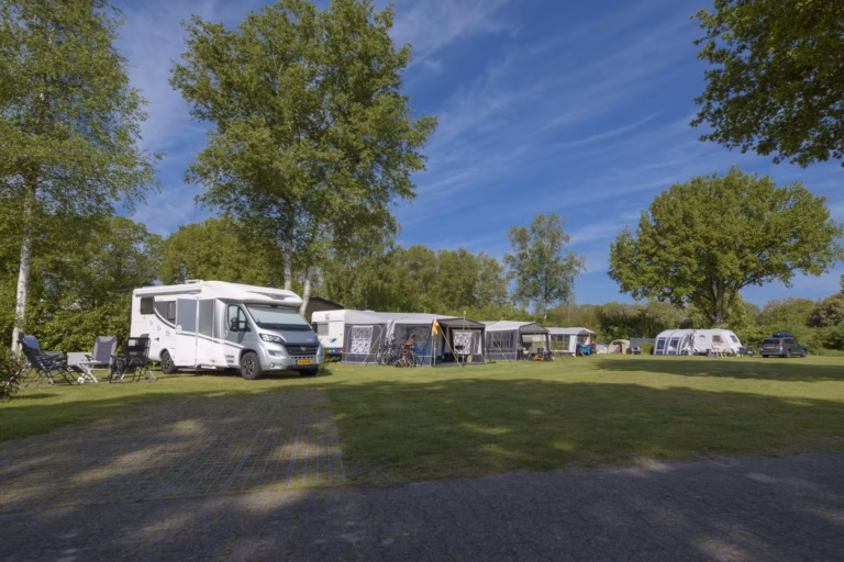 Vakantiepark De Kleine Belties Blick auf die Standplaetze auf der Wiese ac2b4574 40bf 4b1f a51f f888d3bd9df1 768x512