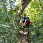 Vakantiepark De Twee Bruggen Radfahrer in der Umgebung des Campingplatzes 434f7ddd 0ac6 469b b56c b8397cd985c8 150x150