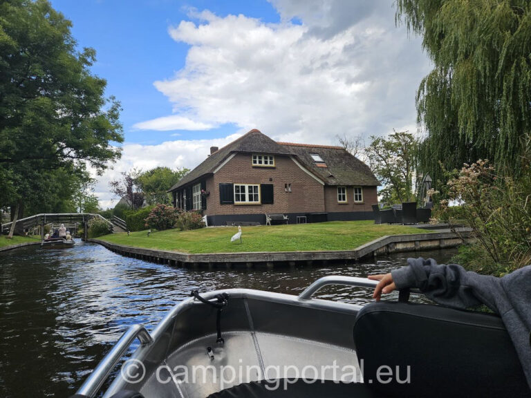 c0189a3e 1fd9 40cc 8a3b 5426b7d05b29 1 768x576