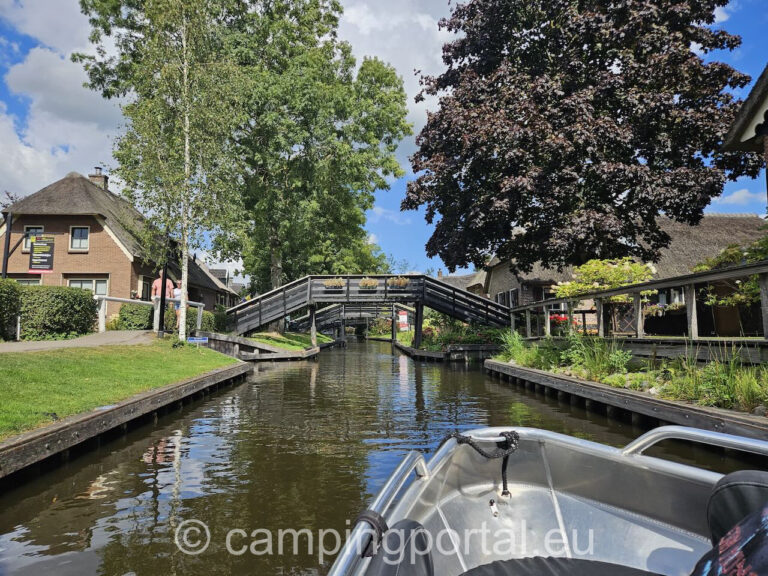 da85fd7d e8fa 47a1 bb08 af945bfed273 1 768x576