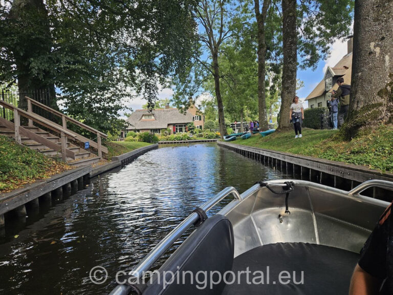 eb8cf81d 8773 4dc5 9aed 8b4b9d836655 1 768x576