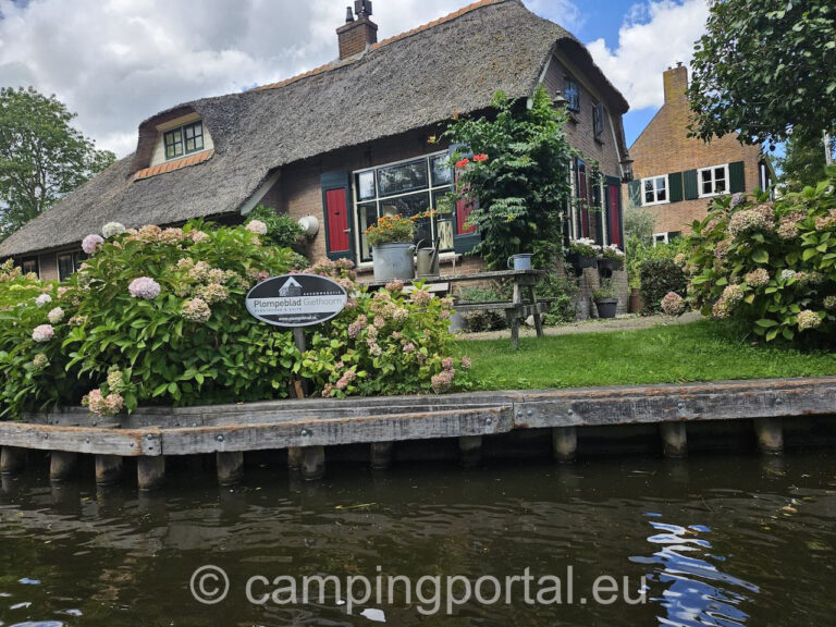 f724927a 9178 4f11 aa06 41cc9e4a21b9 1 768x576