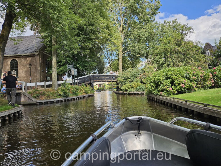 f9024eb7 3d4d 46c2 b44e 5246a28242b4 1 768x576