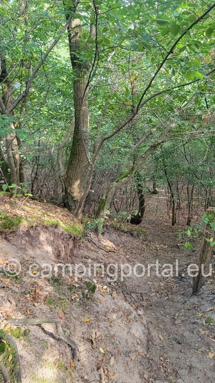 14af28fb c17d 42ee 9b5b 320e91df7ba4