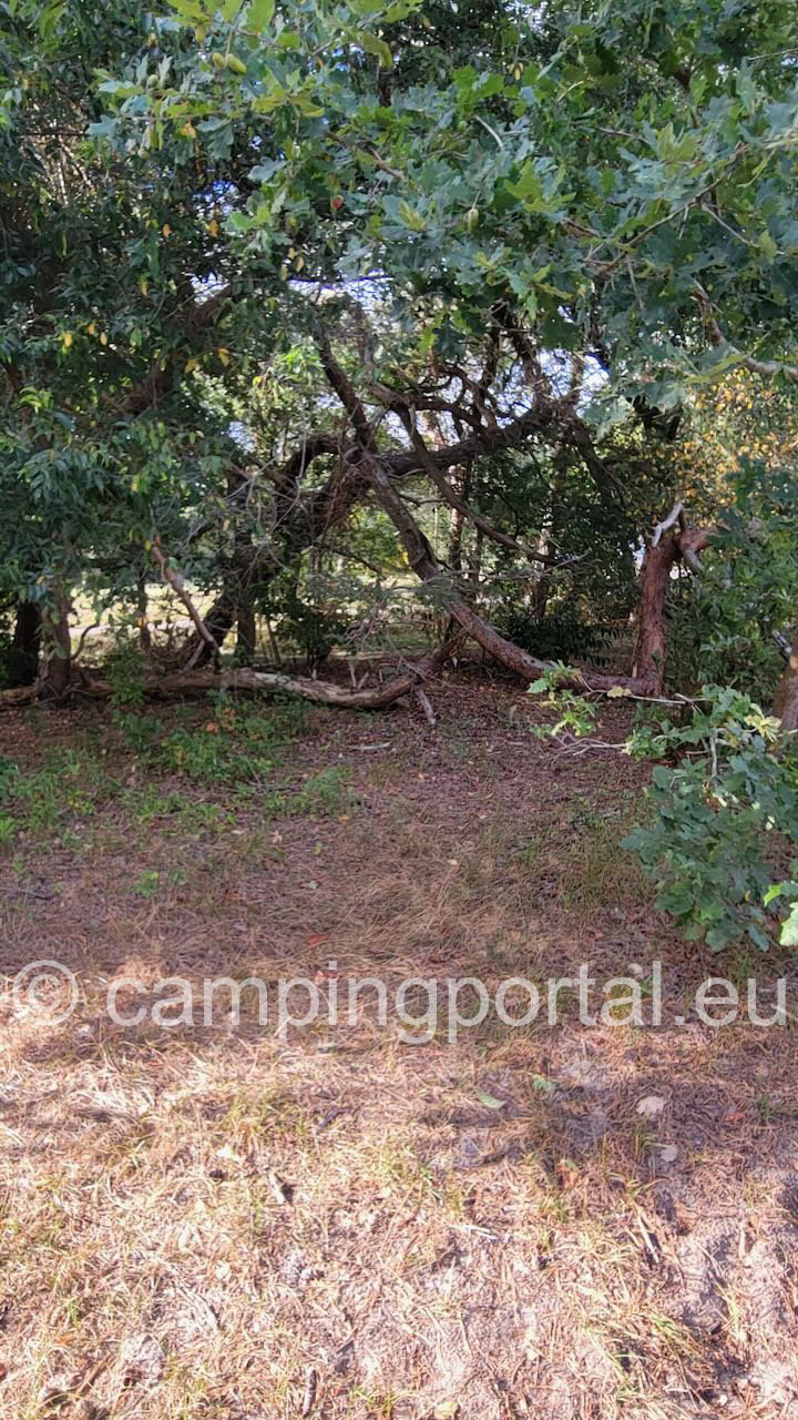 305b9195 1902 4fcc b582 33b8c87f3a43