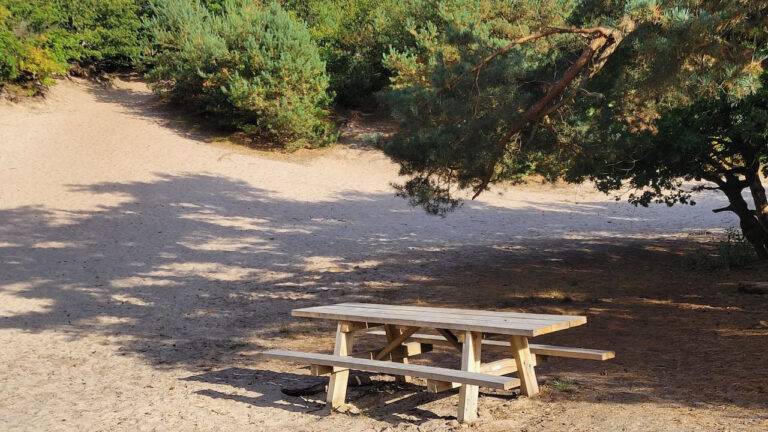 35a67ff8 e7e7 4f17 b081 863b12c749bb 768x432