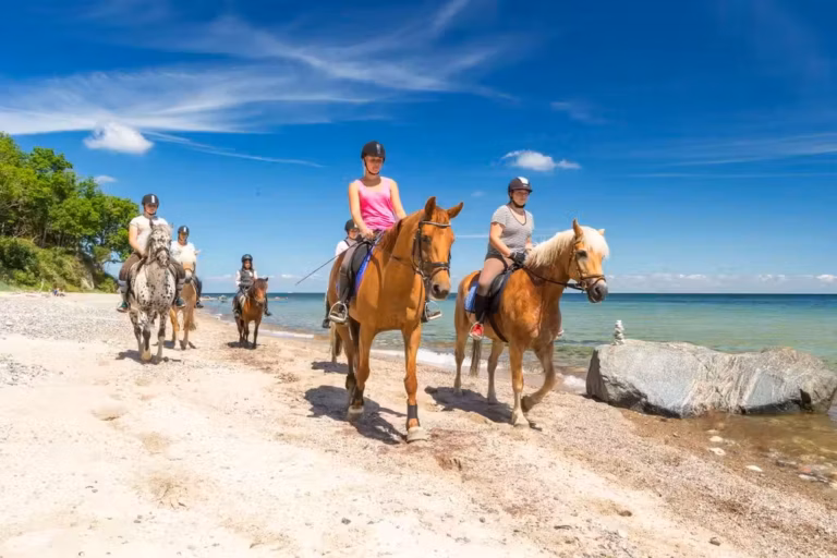 Camping Ostsee Camper auf Pferden am Strand der Ostsee vom Campingplatz 768x512