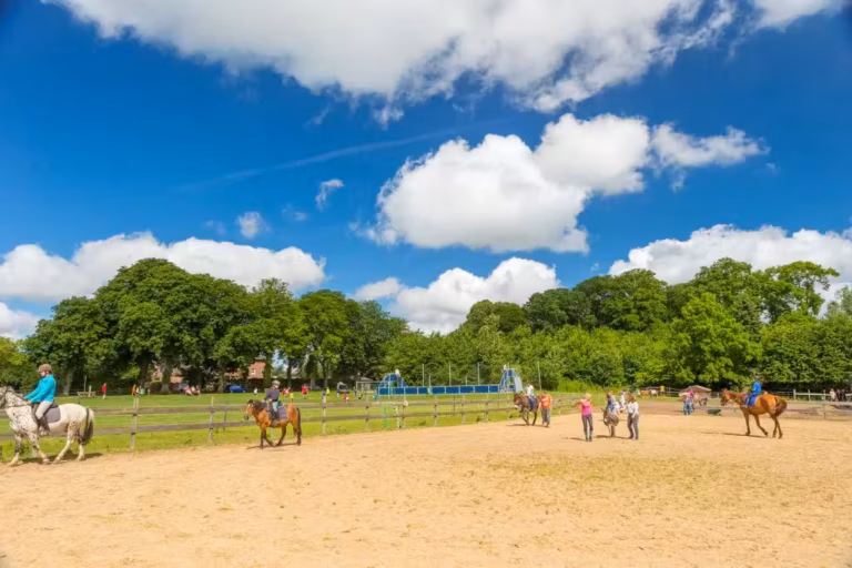 Camping Ostsee Camper auf dem Reiterhof vom Campingplatz 768x512