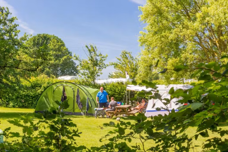 Camping Ostsee Stellplatz vom Campingplatz auf gruener Wiese 768x512