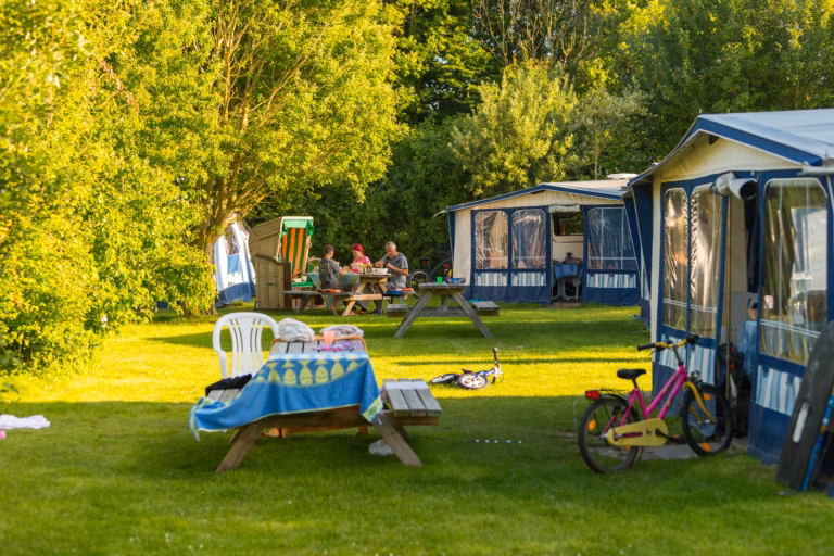 Camping Suedstrand Stellplaetze im Schatten unter Baeumen am See auf dem Campingplatz 768x512