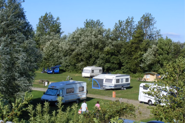 Campingplatz Flueggerteich Stellplaetze umrandet von Baeumen auf dem Campingplatz auf Fehmarn 768x512