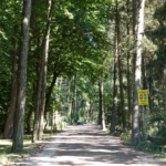 Campingplatz Heidkoppel Strasse vom Campingplatz durch ein Waldstueck 150x150