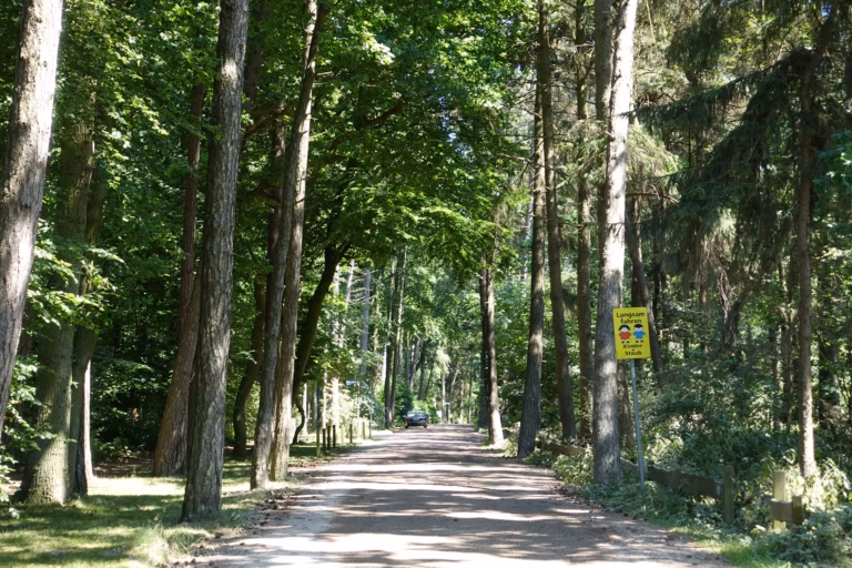 Campingplatz Heidkoppel Strasse vom Campingplatz durch ein Waldstueck 768x512