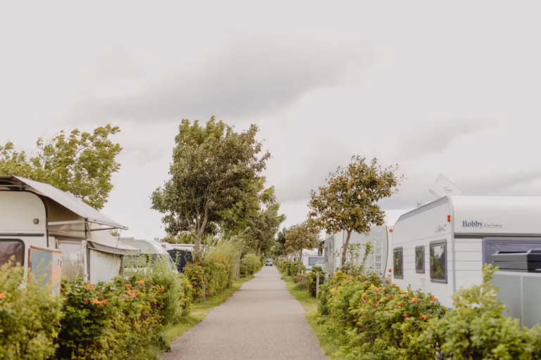 Strandcamping Wohnmobil und Wohnwagenstellplaetze auf dem Campingplatz 612b9d5e e8fb 4a83 884e 2bd4fa9d1c07 768x512