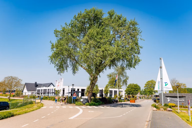 Vakantiepark Eiland van Maurik Einfahrt des Campingplatzes 642ef1ce a768 4c48 b780 3321b3250c3f 768x512