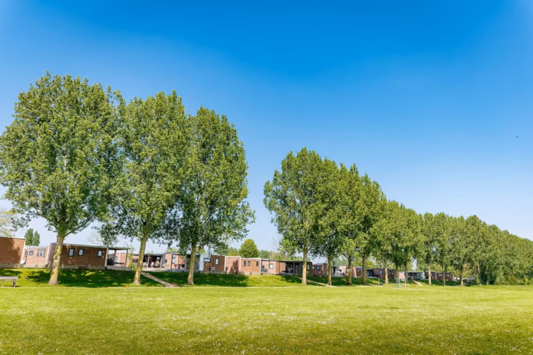 Vakantiepark Eiland van Maurik Mobilheime auf dem Campingplatz 9b280736 a578 4a58 9925 9a8888eb8670 768x512