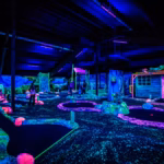 Vakantiepark Eiland van Maurik Schwarzlicht Minigolf auf dem Campingplatz dd3a3c54 b5b7 4d61 9e76 be942054cf74 150x150