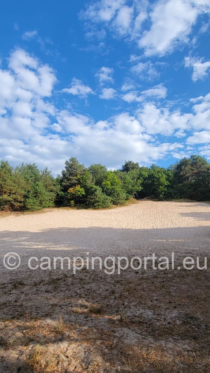 a988dc19 78c6 451c 9df6 ac4b3550d528