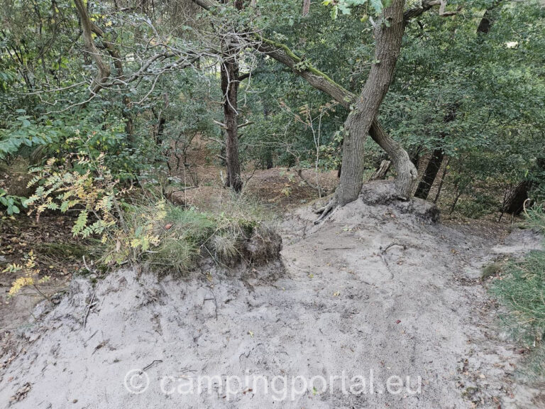 c1323a09 9df8 464e 9849 e11a0629e0e7 768x576