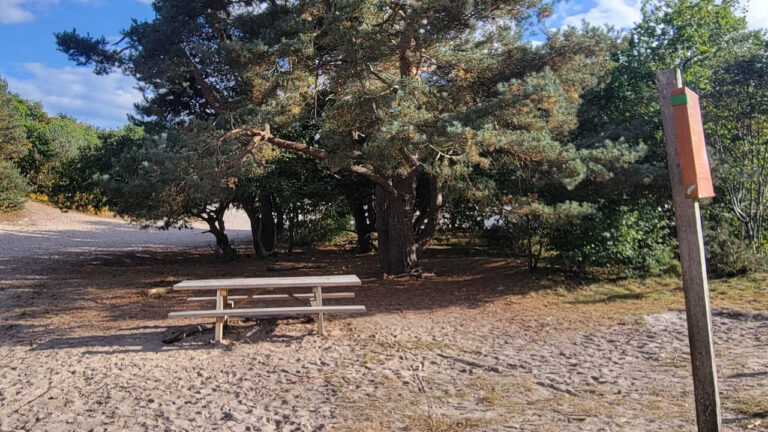 c519c77a ff13 4432 ab32 a47596c0dd0d 768x432