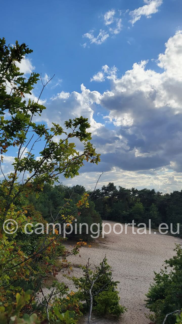 c9b58178 2e05 45be b68c af9a6daa4f0e