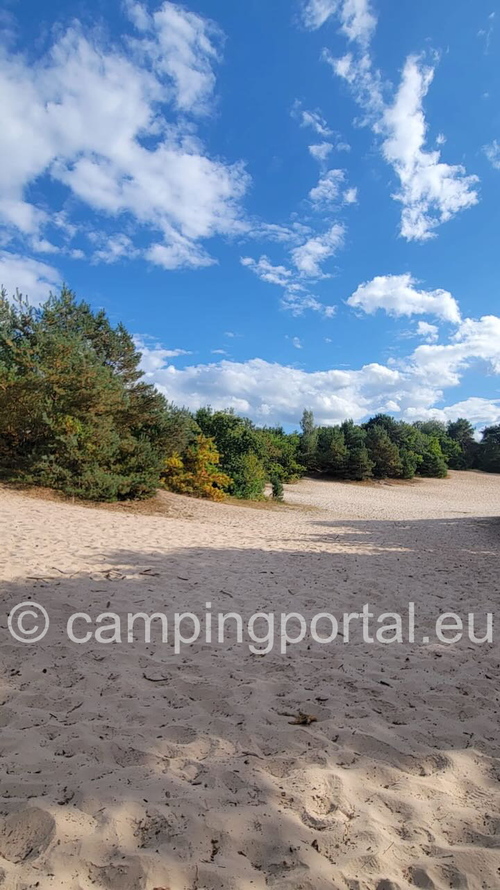 d5fbb193 876e 4526 b97c 2c1892829fd1