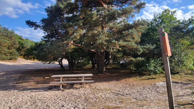 ef063d50 4dd6 41e5 a66c a7e754272747 768x432