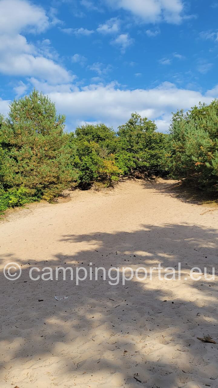 ef238030 9e83 4f16 8596 82dcd4a2a019