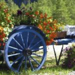 Camping Les Mélèzes Onlycamp - Bild 1 Camping Les Mélèzes Onlycamp - Bild 1