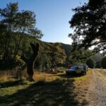 Domaine D'haulmé - Bild 1 Domaine D'haulmé - Bild 1