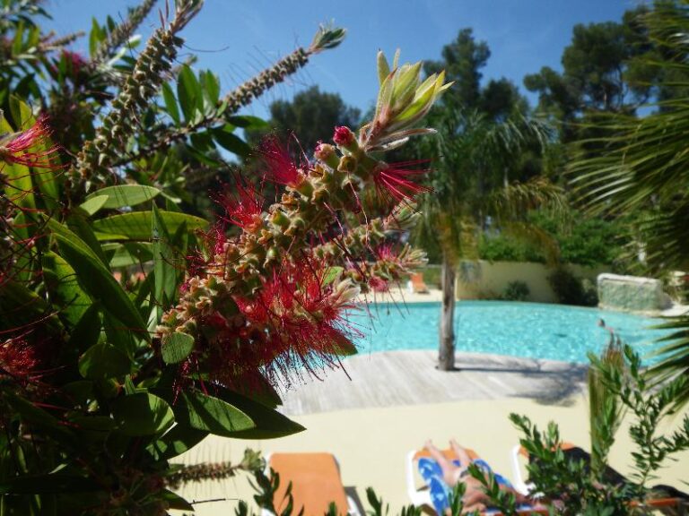 Camping Ceyreste - Bild 1