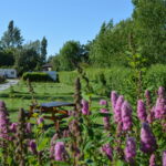 Camping La Petite Forêt - Bild 1