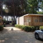 Adriano Family Collection - Bild 10