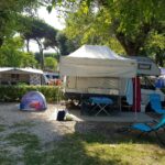 Adriano Family Collection - Bild 14