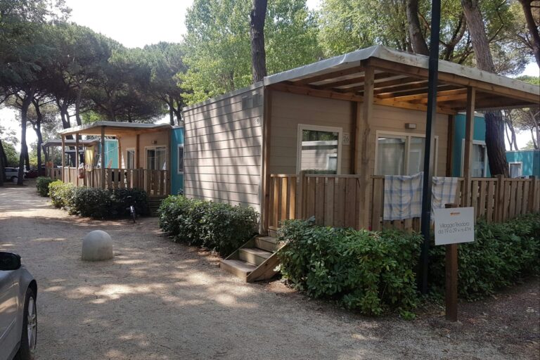 Adriano Family Collection - Bild 5