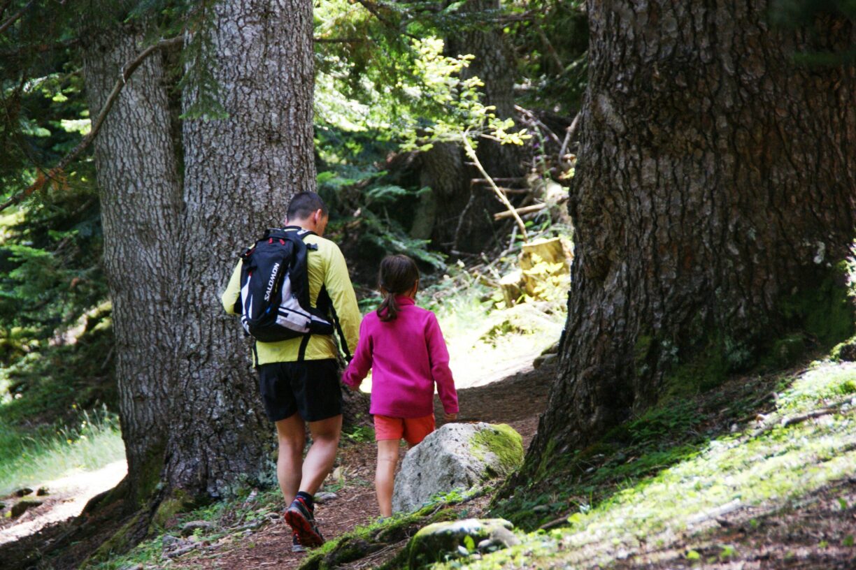 Aigüestortes Camping Resort - Bild 9 Aigüestortes Camping Resort - Bild 9