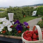 Aire Naturelle De Camping Les Cerisiers - Bild 12